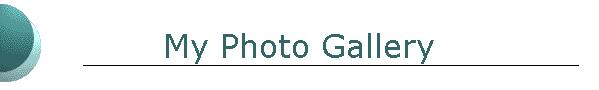 My Photo Gallery
